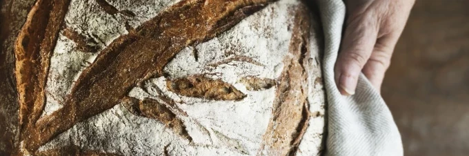 sauerteig-ein-historisches-handwerk-wird-wiederentdeckt