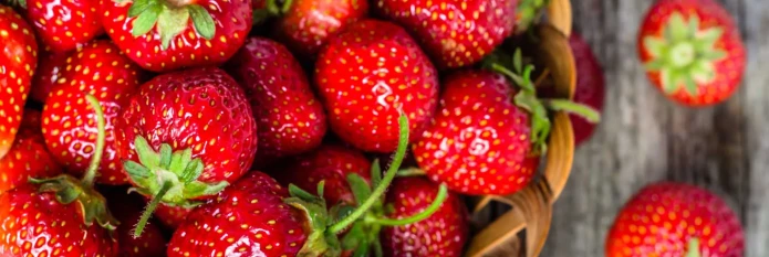 header-banner-strawberries.webp