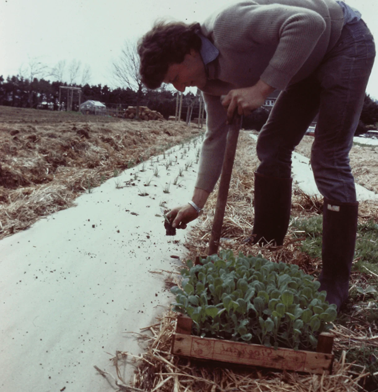 Charles Dowding grew up in a farming family