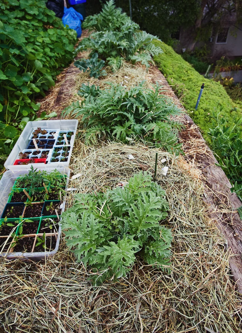 1931-London, England: Left to right: Professor Nikolai Vavilov (Botanist)), A. F. Joffe (Physicist), and Nicholas Bukharin in London to attend the Congress of the History of Science. 