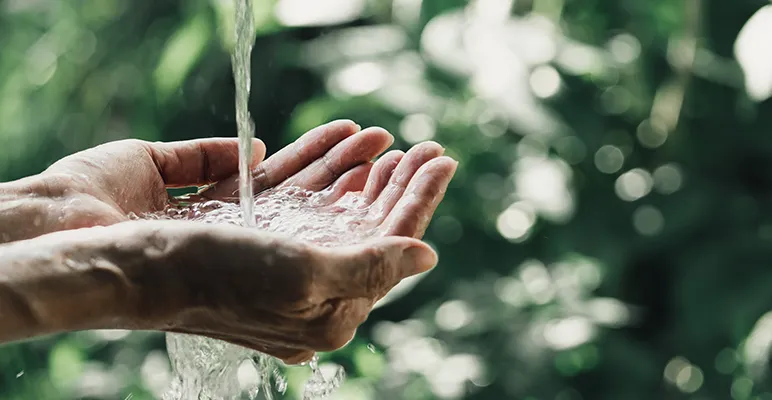 Cupped hands catching water from a source in front of greenery