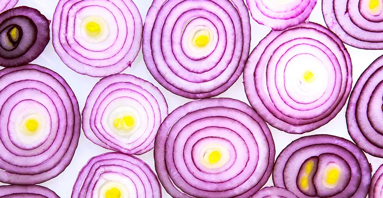 Closeup of slices of chicory root