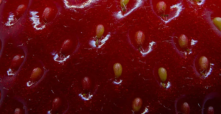 Extreme closeup of the flesh of a strawberry