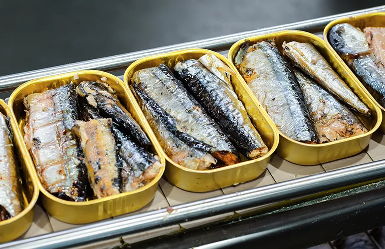 Canned fish