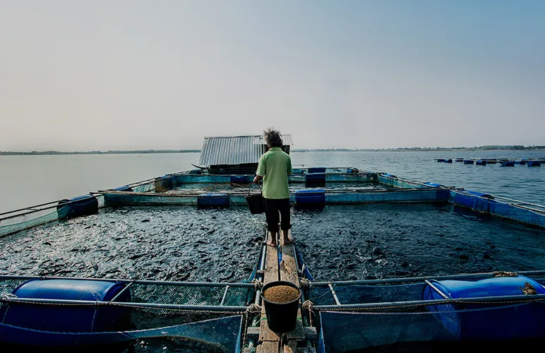 The ASC Standards: What’s Considered