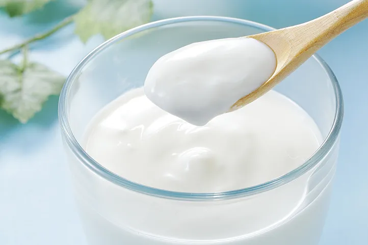 yoghurt fermentation