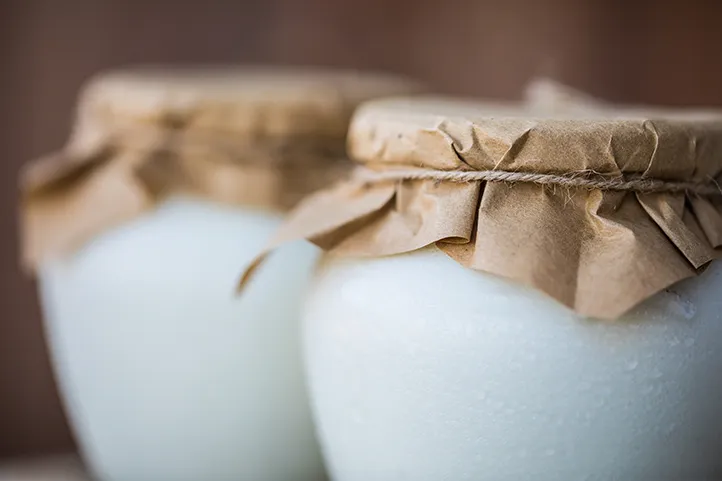 yoghurt fermentation