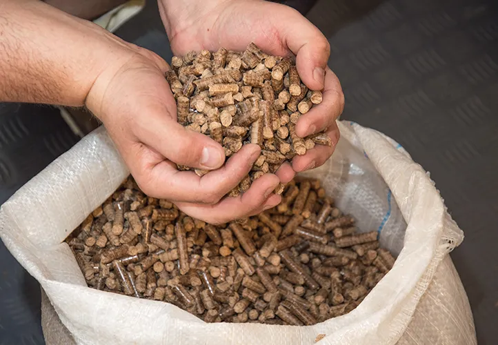 Man grabbing handful of Bio-beans from a sack