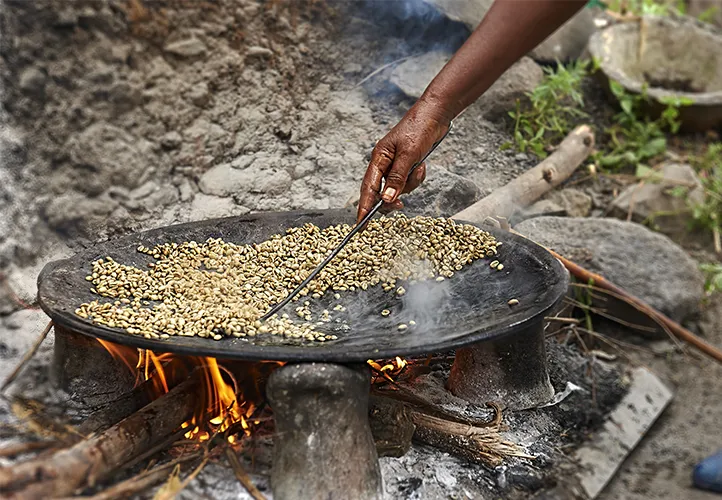 Roasting coffee grounds on a flat dish over an open fire