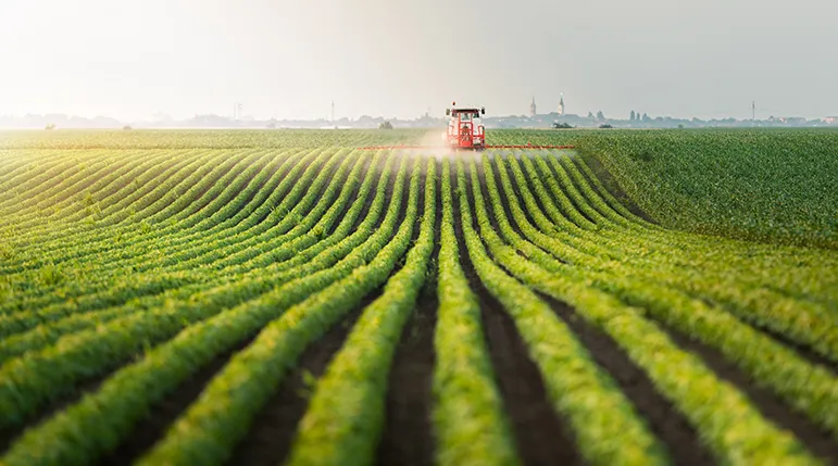 Farmer spraying chemicals on a crop