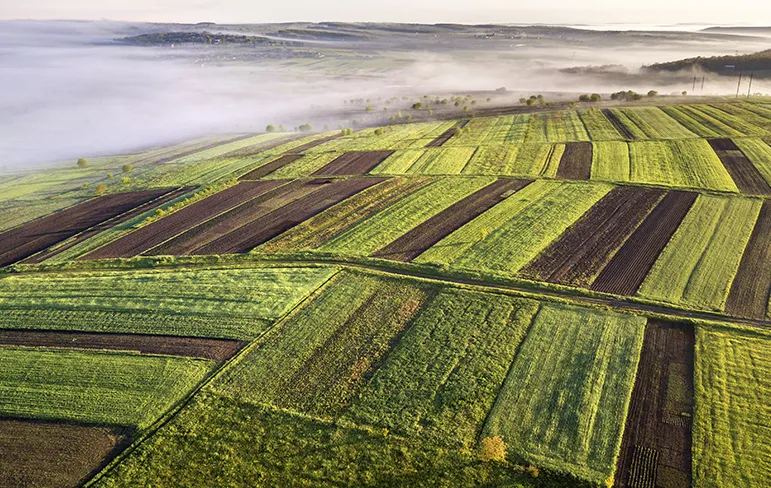 Artificial intelligence improves farming