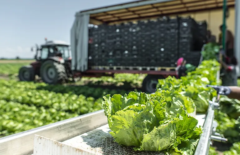 Predicting The Journey Of Food