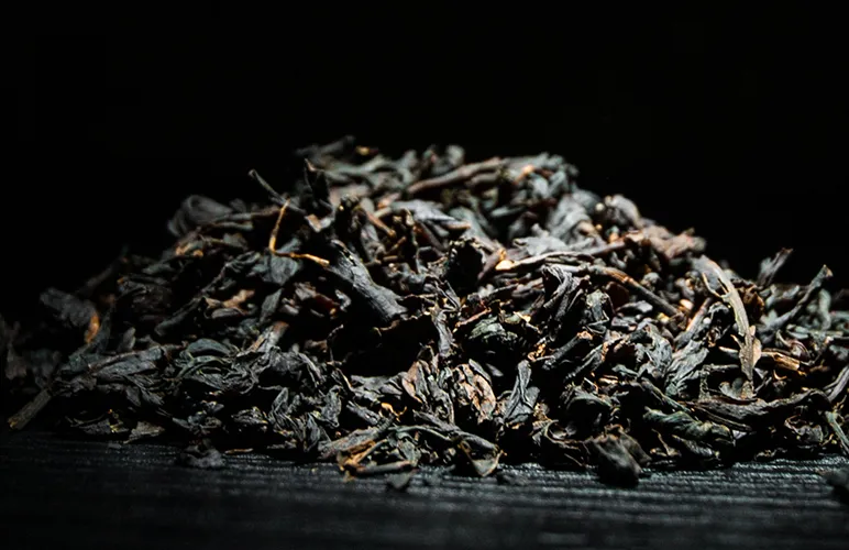 Black Tea: The Social Cost of Assam Tea