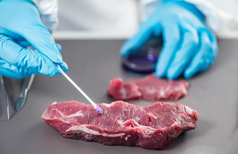 Studying Food Degradation 