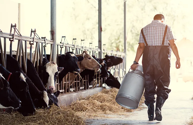 Milk farmeer