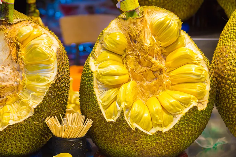 Edible jackfruit