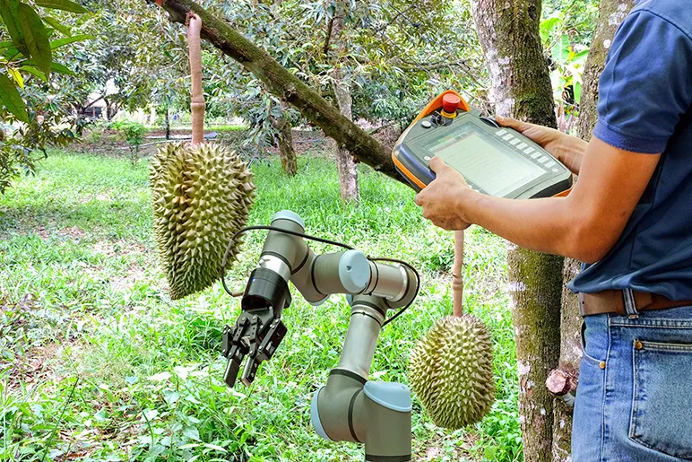 Human and robot working together