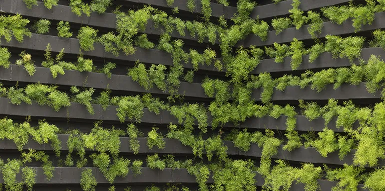 High-tech vertical indoor growing systems with plants on shelves