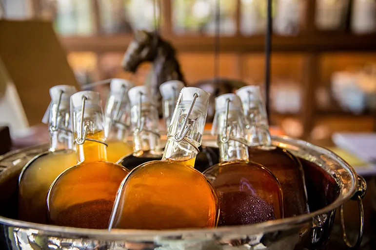 Fermentation Processes of Alcohol & Vinegar