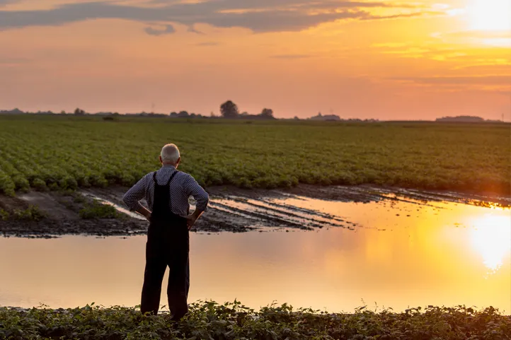 Field with water