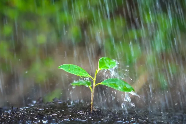 6 Ways to reduce your water footprint