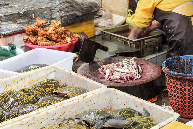 Fish being sorted at market