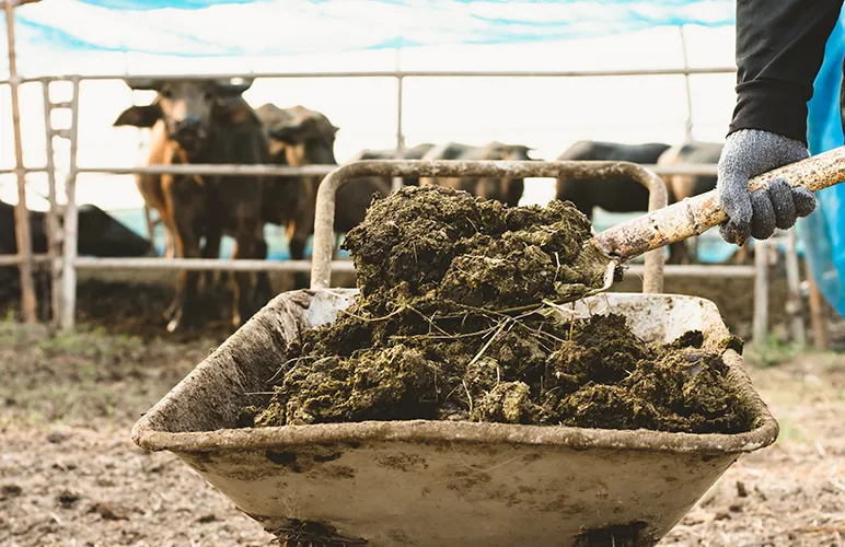 But Can Circular Micro Farming Be Scaled Up