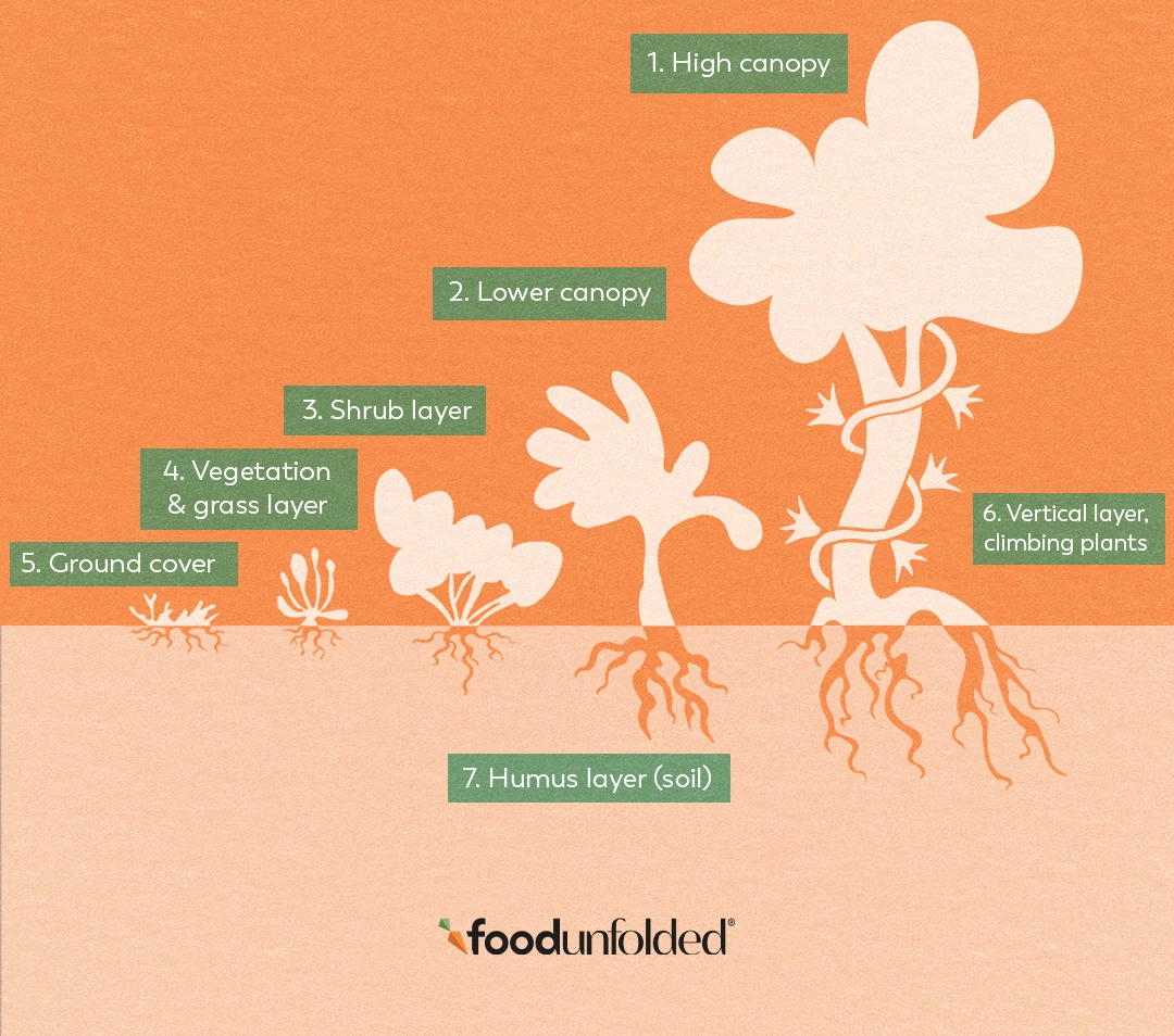 food forest