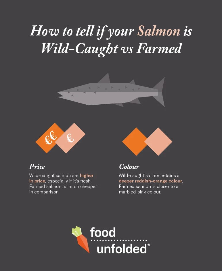 Wild vs. Farmed Salmon