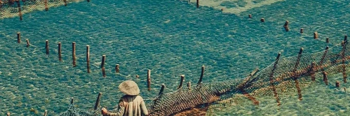 low-trophic-aquaculture