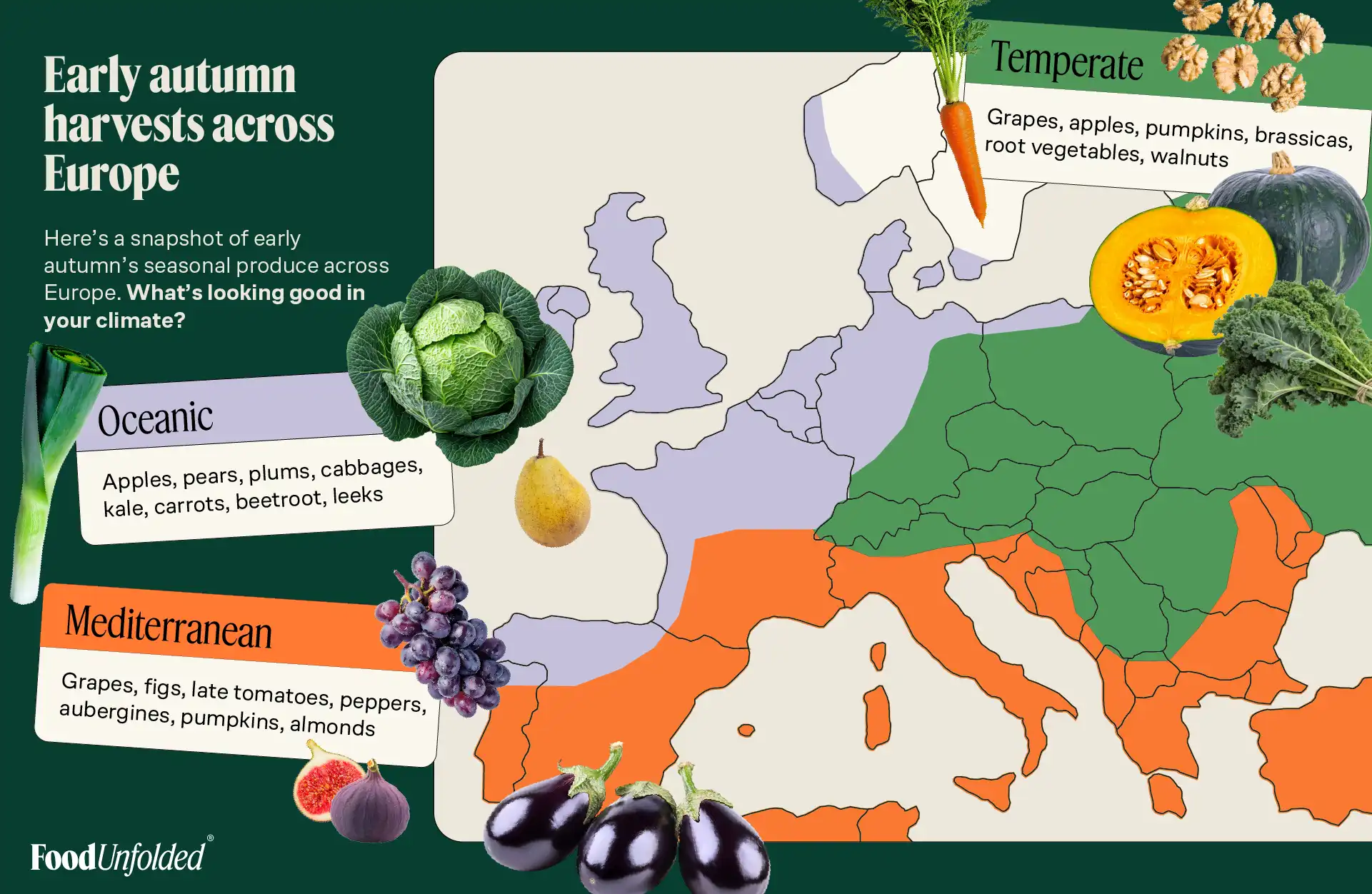 Early autumn harvest: what’s in season and where it comes from
