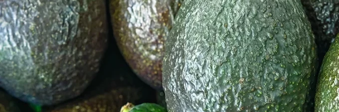 avocados-die-wahren-kosten-der-produktion