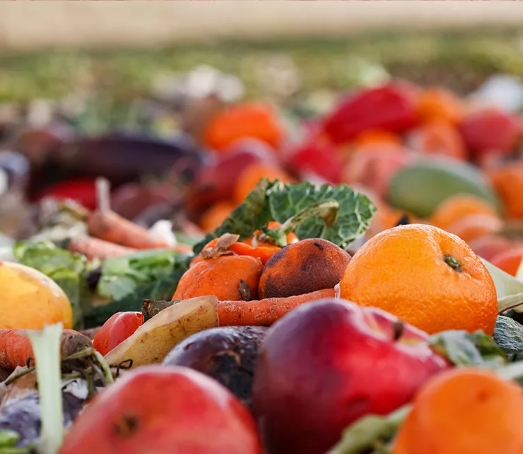 COVID-19 | Auswirkungen auf die Lebensmittelverschwendung