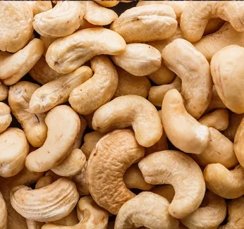mobile-image-cashewnutproduction.webp