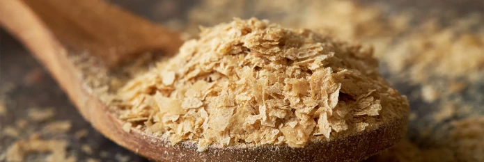 nutritional-yeast-header.webp