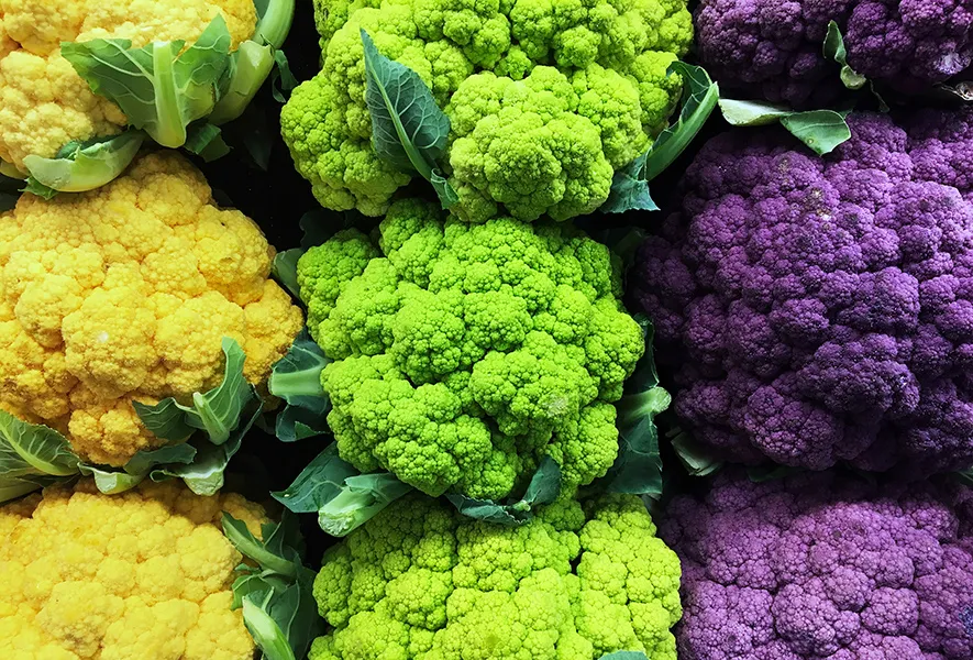 Gesunde Fette für Veganer: Pflanzliche Omega-3 und Omega-6 Quellen