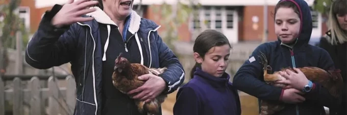 como-mantener-pollos-en-la-escuela