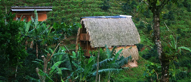 Repurposing farmers’ houses for ecotourism
