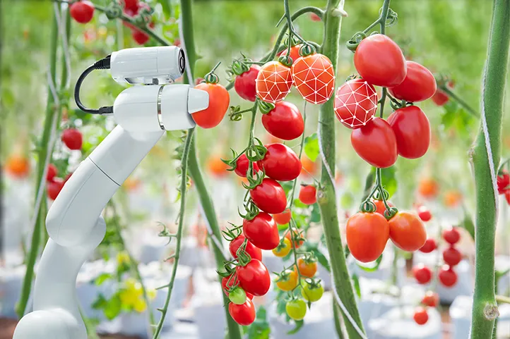 Machine Vision: Agro Robots Need To see