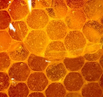 science-behind-honey-category_1.webp