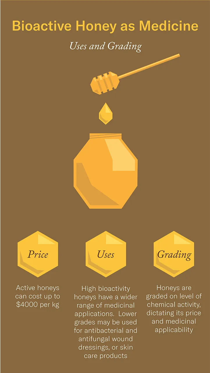honey info graphic