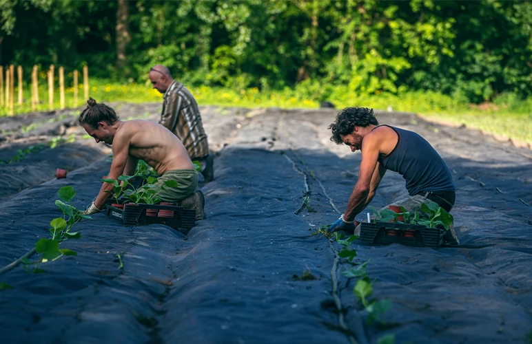 Locals from Ghent, Belgium, participating in Community Supported Agriculture