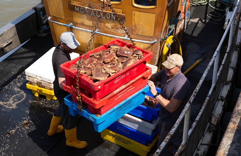 industrial fisheries 