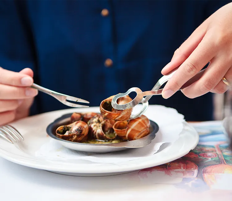 Sind essbare Schnecken eine Quelle für nachhaltiges Fleisch?