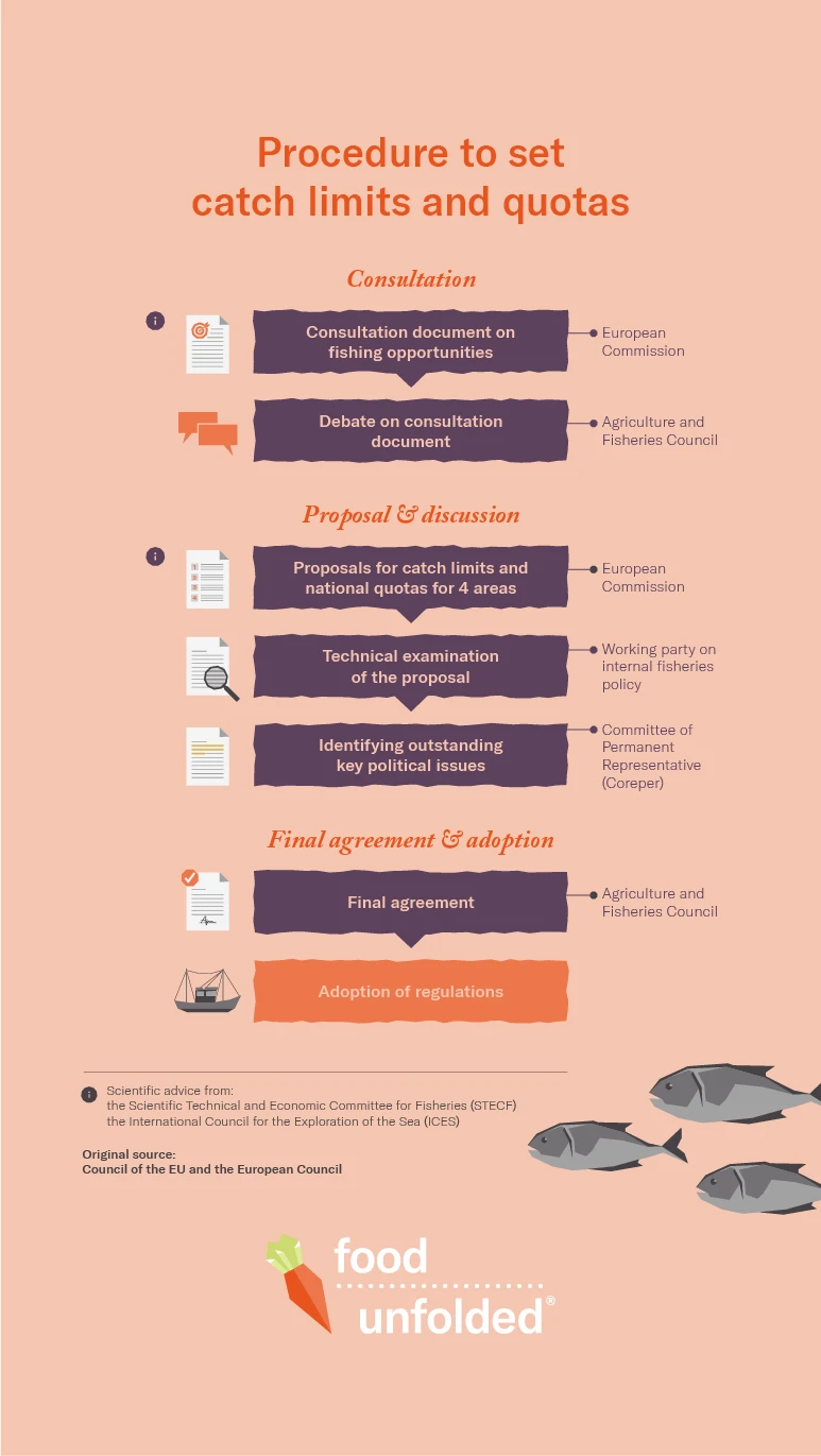 Fish catch quotas infographic