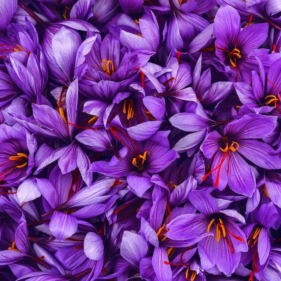 Der (wahre) Preis von Safran