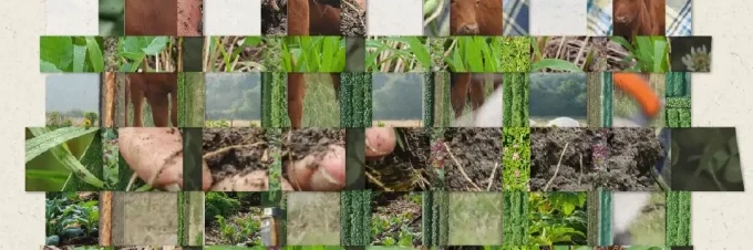 regenerative-agriculture-what-is-it-and-why-does-it-matter