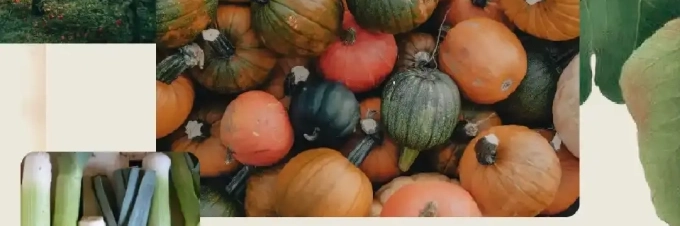 early-autumn-harvest-whats-in-season-and-where-it-comes-from