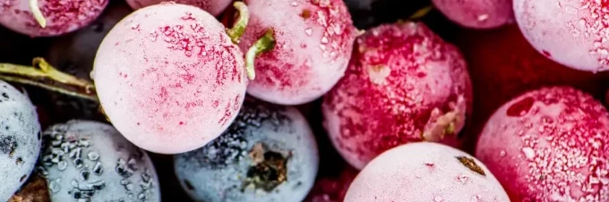 freeze-summer-fruits-a-complete-home-guide