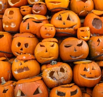 Thumbnailpumpkinwaste.webp